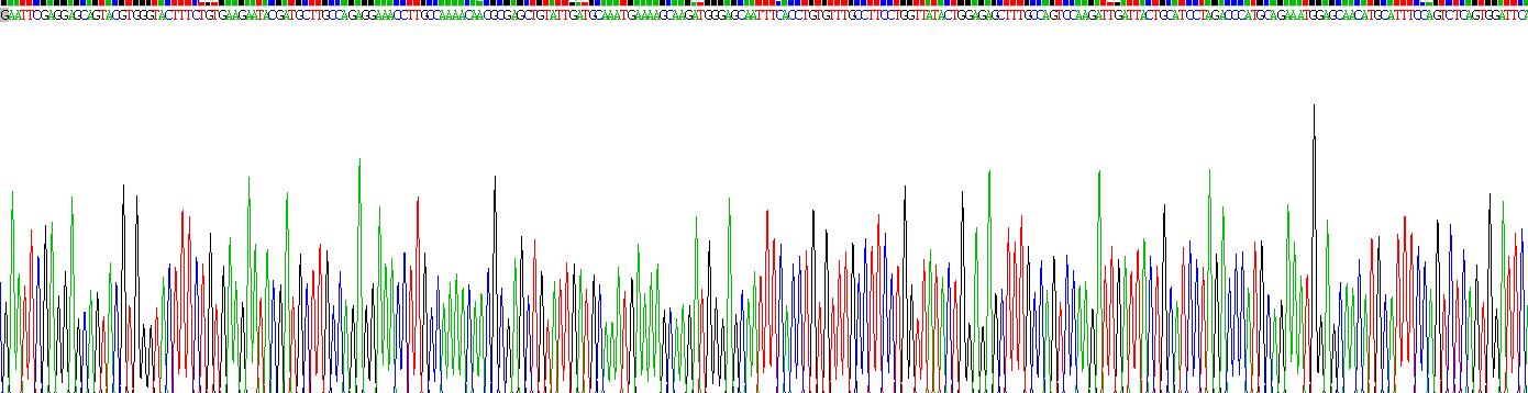 Recombinant Delta/Notch Like EGF Repeat Containing Protein (dNER)