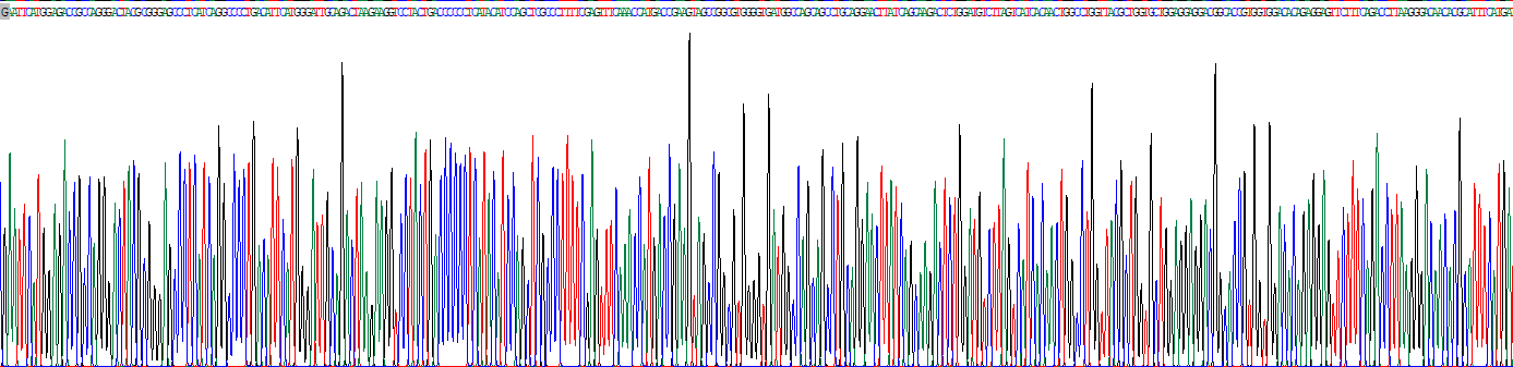 Recombinant Cell Death Inducing DFFA Like Effector A (CIDEA)