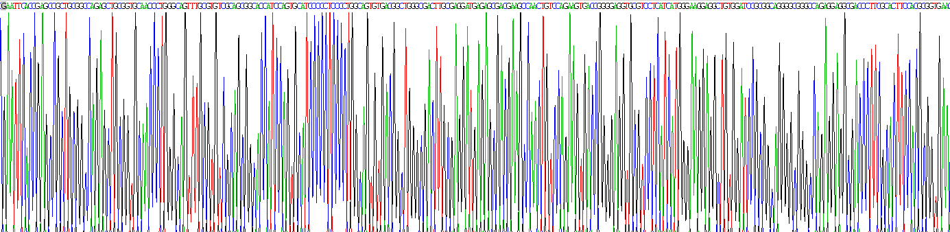 Recombinant DiGeorge Syndrome Critical Region Gene 2 (DGCR2)