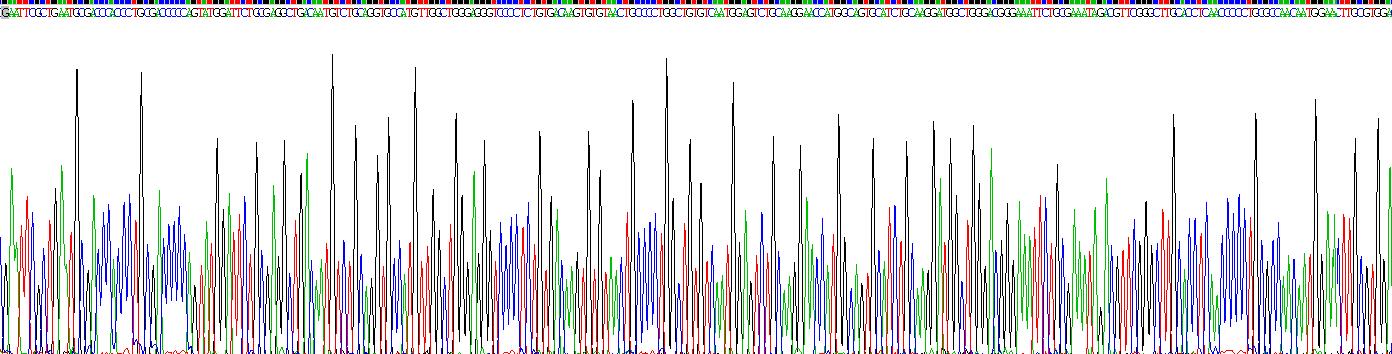 Recombinant Delta Like 1 Homolog (dLK1)