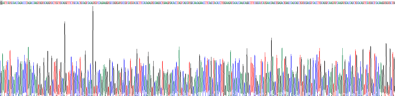 Recombinant Kelch Like ECH Associated Protein 1 (KEAP1)
