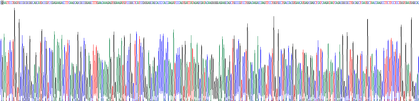 Recombinant Microtubule Associated Protein 1 Light Chain 3 Beta (MAP1LC3b)