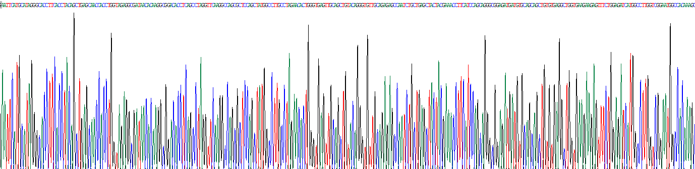 Recombinant NGFI-A Binding Protein 2 (NAB2)