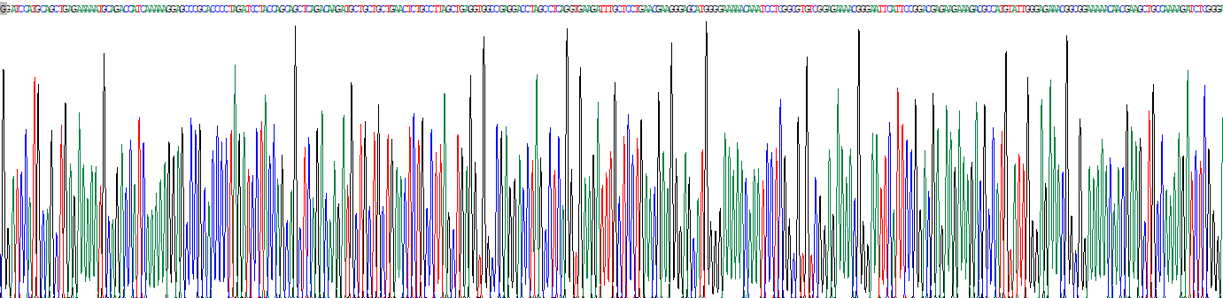 Recombinant Nuclear Factor, Interleukin 3 Regulated (NFIL3)