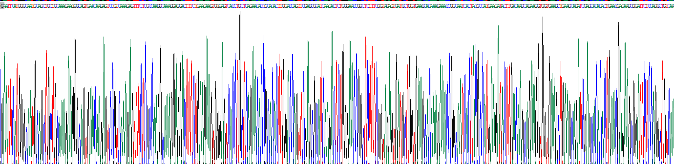 Recombinant Protein Kinase, cAMP Dependent Catalytic Alpha (PRKACa)