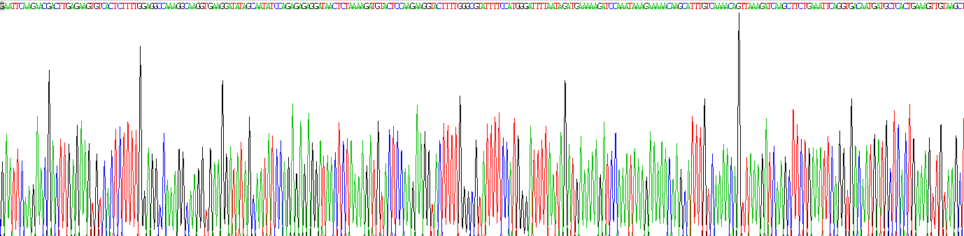 Recombinant Related To Receptor Tyrosine Kinase (RYK)