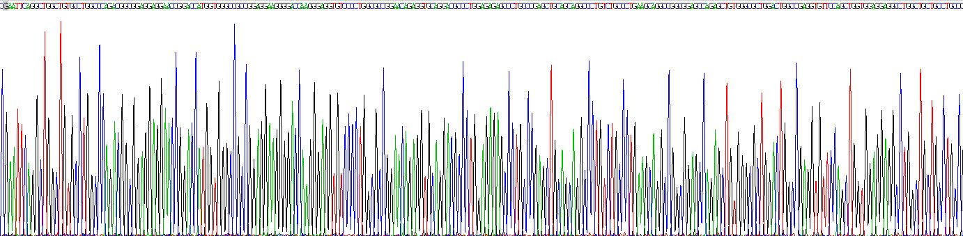 Recombinant Sterile Alpha Motif Domain Containing Protein 2 (SaMD2)