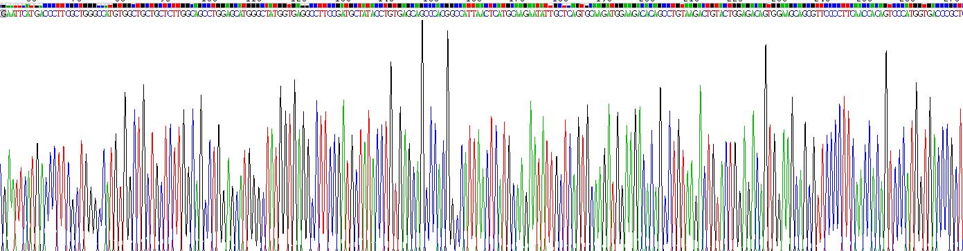 Recombinant Secreted Ly6/uPAR Related Protein 1 (SLURP1)