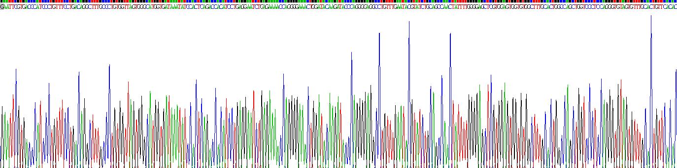 Recombinant Steroid 5 Alpha Reductase 1 (SRD5a1)