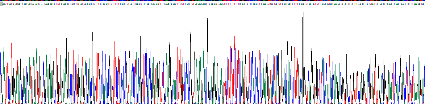 Recombinant SET Domain Containing Protein 7 (SETD7)