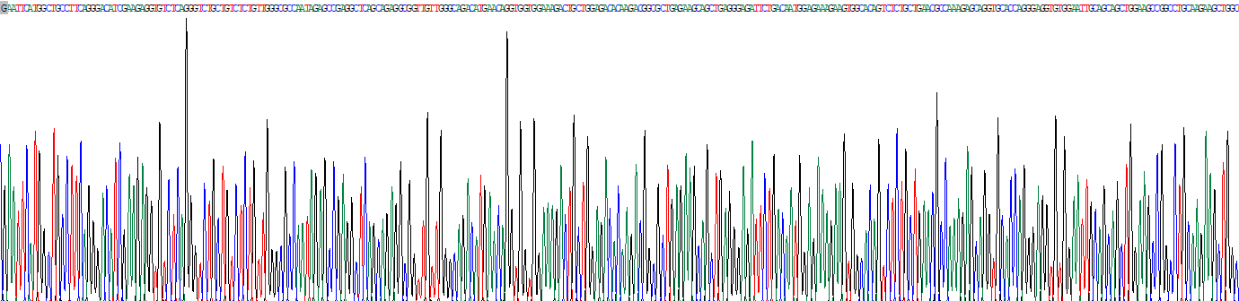 Recombinant Spindle Pole Body Component Protein 24 (SPC24)