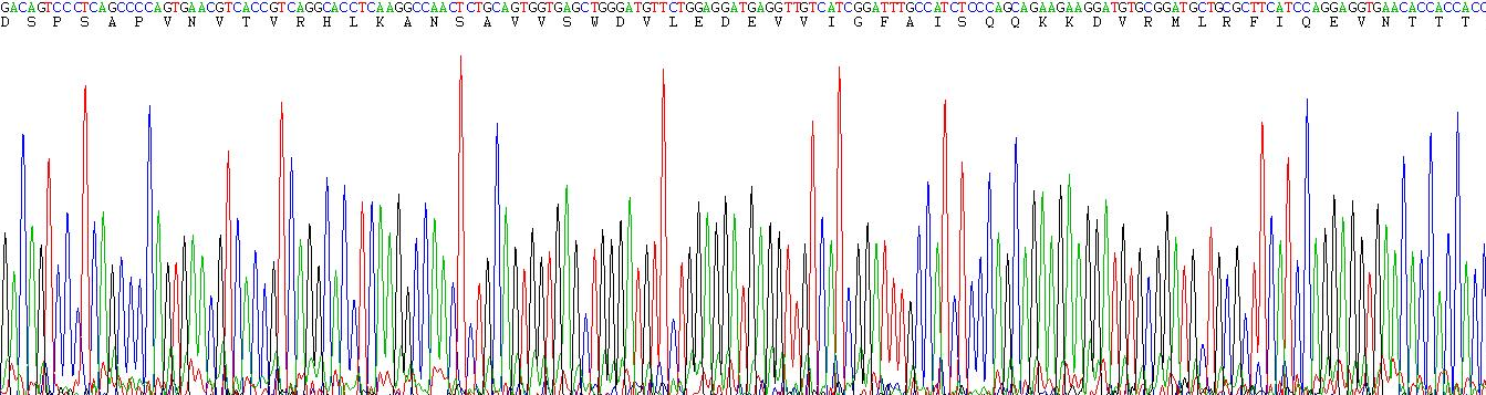 Recombinant Fibronectin Type III Domain Containing Protein 5 (FNDC5)