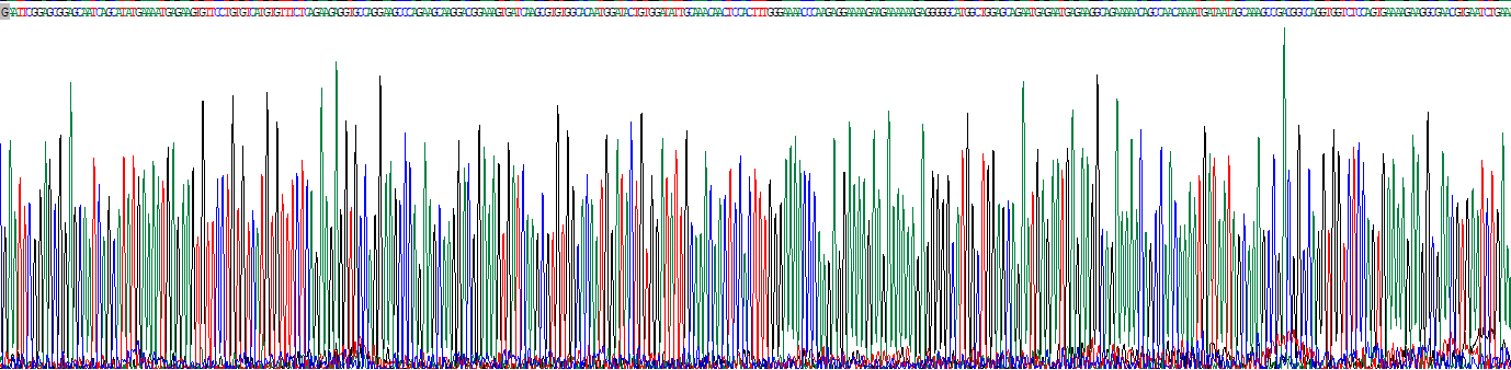 Recombinant Sp140 Nuclear Body Protein (SP140)