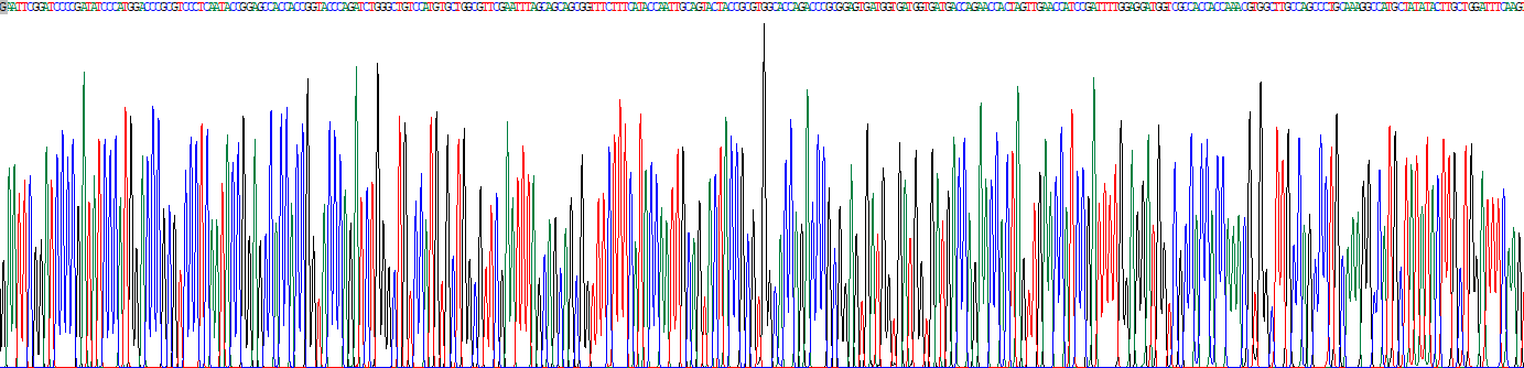 Recombinant Wingless Type MMTV Integration Site Family, Member 5B (WNT5B)