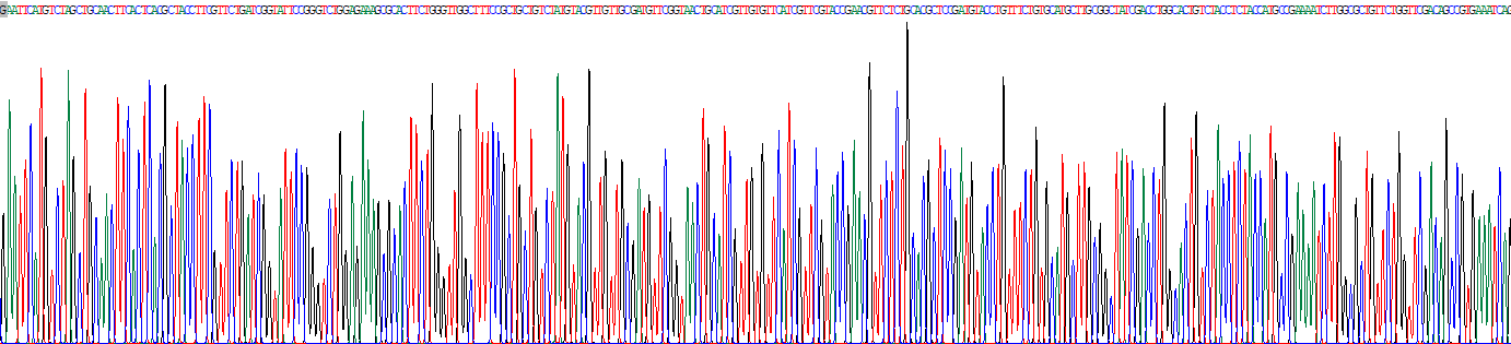 Recombinant Olfactory Receptor 51E2 (OR51E2)