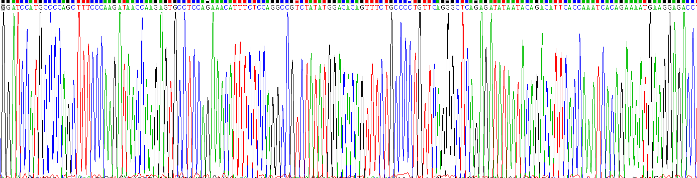 Recombinant Regulator Of G Protein Signaling 20 (RGS20)