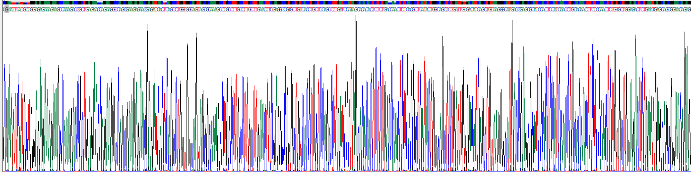 Recombinant Zinc Finger And BTB Domain Containing Protein 20 (ZBTB20)