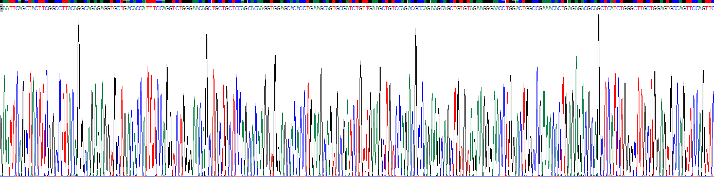 Recombinant Wingless Type MMTV Integration Site Family, Member 9B (WNT9B)