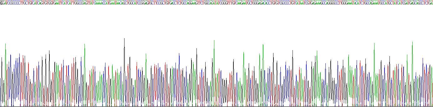 Recombinant LIM And Senescent Cell Antigen Like Domains Protein 1 (LIMS1)