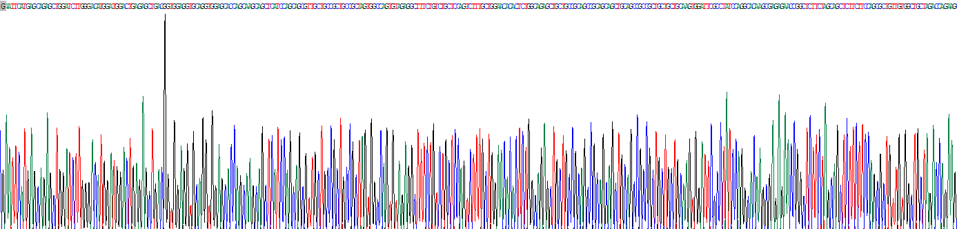 Recombinant Homeobox Protein D13 (HOXD13)