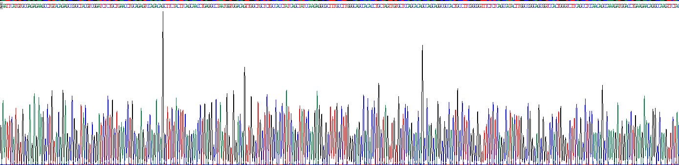 Recombinant Homeobox Protein D12 (HOXD12)