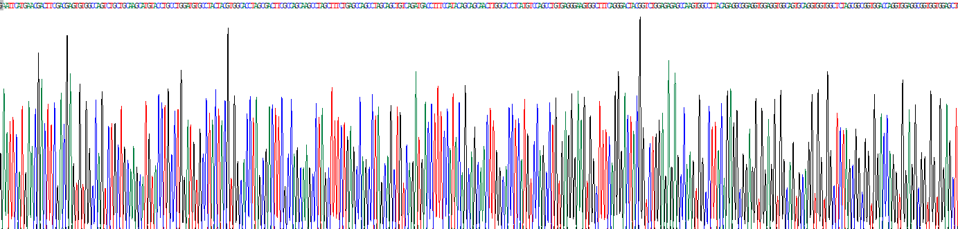 Recombinant Homeobox Protein D11 (HOXD11)