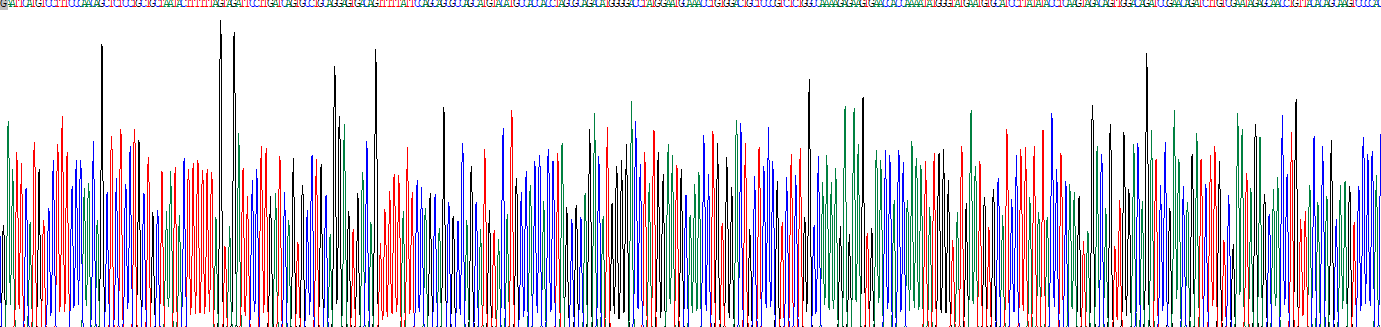 Recombinant Homeobox Protein D10 (HOXD10)