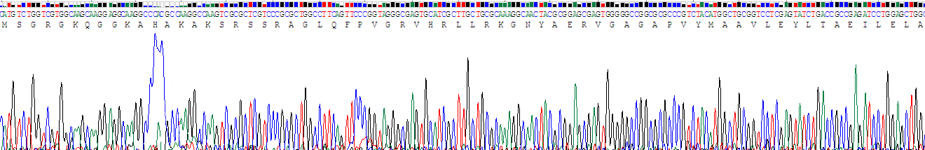 Recombinant Histone Cluster 2, H2aa3 (HIST2H2AA3)