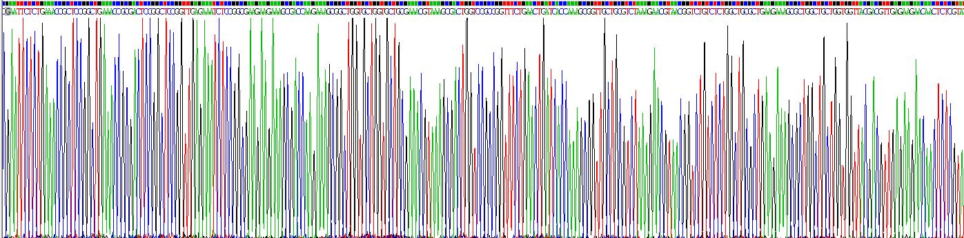 Recombinant Histone Cluster 1, H1b (HIST1H1B)