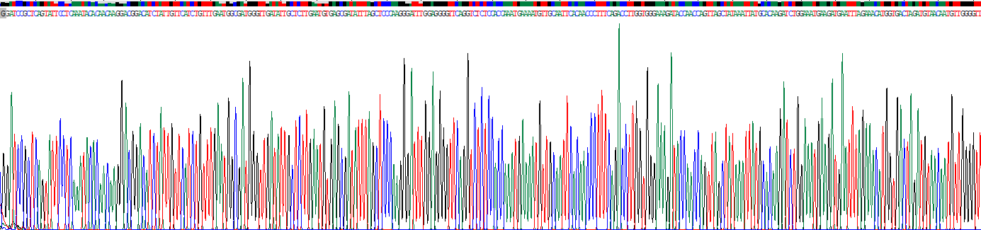 Recombinant Amylase Alpha 2B, Pancreatic (AMY2B)