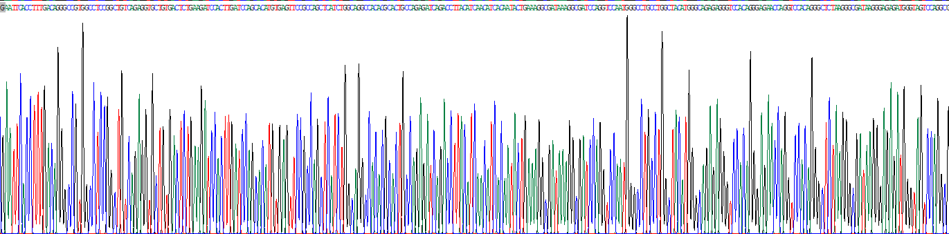 Recombinant C1q And Tumor Necrosis Factor Related Protein 6 (C1QTNF6)