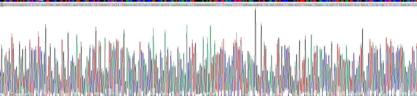Recombinant Tubulin Alpha 1C (TUBa1C)