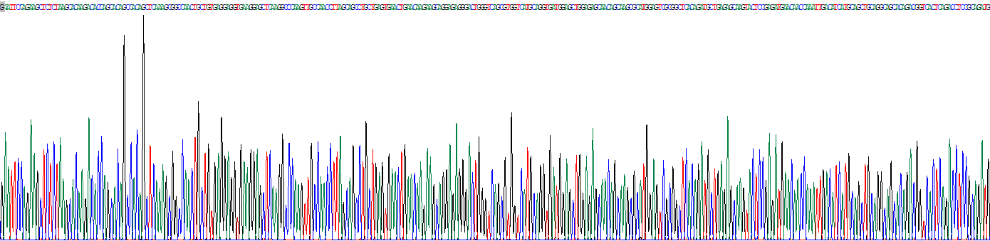 Recombinant Angiopoietin Like Protein 7 (ANGPTL7)