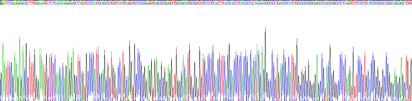 Recombinant Sialic Acid Binding Ig Like Lectin 15 (SIGLEC15)