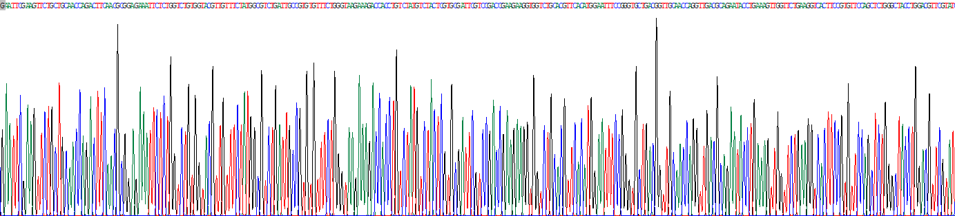 Recombinant Lipocalin 15 (LCN15)