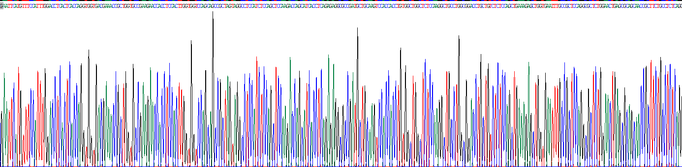 Recombinant DDB1 And CUL4 Associated Factor 10 (DCAF10)