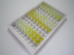 ELISA Kit for Cannabinoid Receptor 2, Macrophage (CNR2)