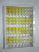 ELISA Kit for Defensin Alpha 6, Paneth Cell Specific (DEFa6)