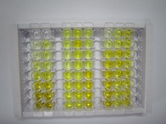 ELISA Kit for IQ Motif Containing GTPase Activating Protein 2 (IQGAP2)