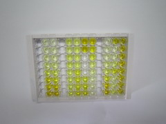 ELISA Kit for Na+ Taurocholate Cotransporting Polypeptide (NTCP)