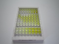 ELISA Kit for Divalent Metal Transporter 1 (DMT1)