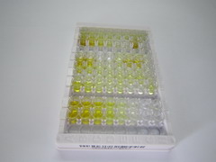 ELISA Kit for Protein Inhibitor Of Activated STAT 3 (PIAS3)