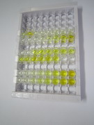 ELISA Kit for Sphingosine 1 Phosphate Receptor 3 (S1PR3)