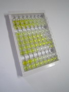 ELISA Kit for Alcohol Dehydrogenase 2 (ADH2)