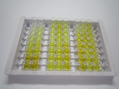 ELISA Kit for Fatty Acid Desaturase 2 (FADS2)