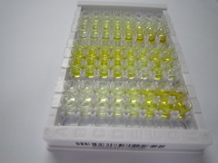 ELISA Kit for Peroxiredoxin 4 (PRDX4)