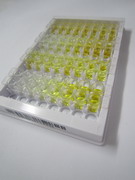 ELISA Kit for Frizzled Related Protein (FRZB)