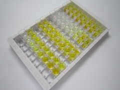 ELISA Kit for Deiodinase, Iodothyronine, Type I (DIO1)