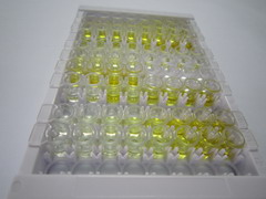 ELISA Kit for Cytochrome P450 3A5 (CYP3A5)