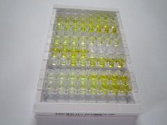 ELISA Kit for Forkhead Box Protein Q1 (FOXQ1)